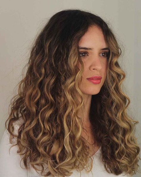 dark-hair-with-blonde-highlights. Desert Hair Color, Blonde Curly Balayage Natural, Light Brown Balayage Wavy Hair, Money Piece Wavy Hair, Natural Wavy Hair Balayage, Curled Hair With Highlights, Blind Highlights On Light Brown Hair, Highlights Wavy Brown Hair, Curly Blonde Hair Balayage