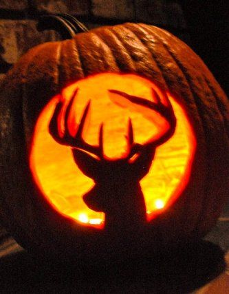 Deer Pumpkin, Halloween Pumpkin Ideas, Deer Tags, Pumpkin Carving Stencils Free, Halloween 23, Deer Camp, Pumpkin Contest, Pumpkin Carving Designs, Pumpkin Designs