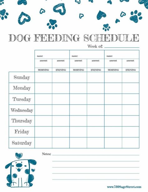 Dog Feeding Schedule, Pet Printables, Puppy Feeding Schedule, Paper Crafts Print, Pet Care Printables, Pet Care Instructions, Vintage Stencils, Puppy Feeding, Dog Printable