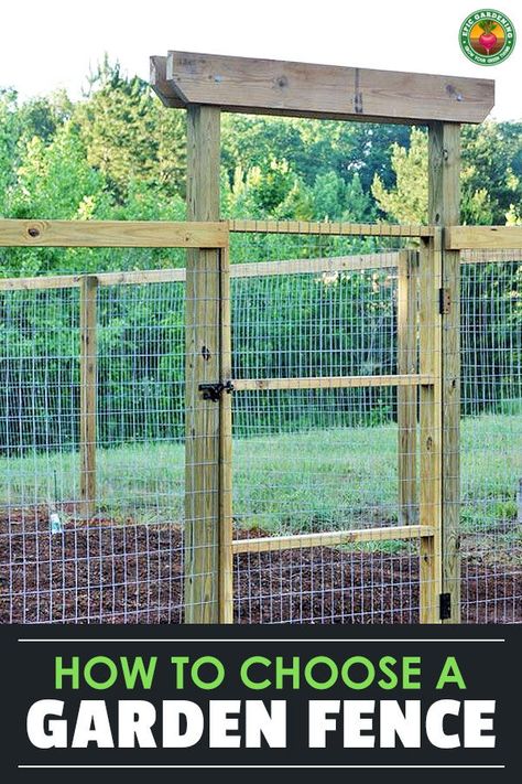 Fencing Around Garden, Animal Proof Garden, Enclosed Garden Structures, Epic Gardening, Fenced Vegetable Garden, Parterre Garden, Modern Homestead, Garden Fences, Homestead Ideas