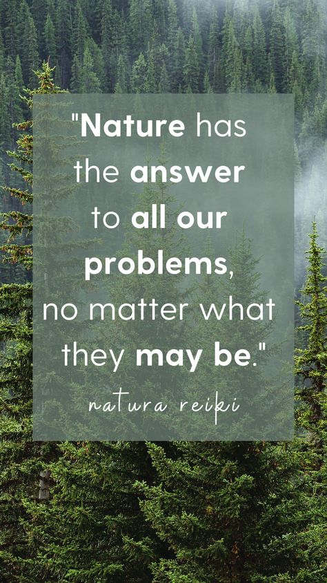 Discover the profound healing power of nature! 🌿 Learn how spending time in natural environments and incorporating natural foods into your diet can boost your health, wellness, and mental clarity. 🌳✨ Explore holistic healing with nature-inspired practices and nutritional tips for overall well-being. #HealingPowerOfNature #HolisticHealing #NaturalWellness #Reiki #HealthyLiving #NatureLovers #WellnessJourney #NaturalFoods #MindBodySoul Nature Is Healing, Healing Nature, Nature Healing, Nature Is Healing Quotes, Nature Therapy, Nature Healing Quotes Inspirational, Healing Power Of Nature, Holistic Health Quotes, Yoga In Nature Quotes