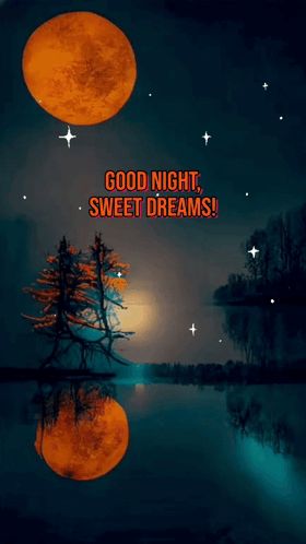 Goodnight Gif Images, Sweet Dreams Good Night Gif, Good Night Sweet Dreams Sleep Tight, Good Night Sweet Dreams Gif, Sweet Dreams Gif, Goodnight Gif, Sweet Dreams Good Night, Dreams Images, Sweet Dreams Sleep Tight