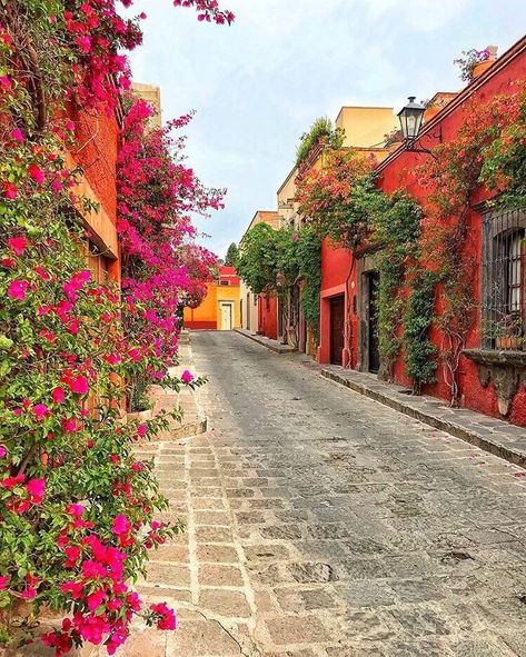 San Juan del río Queretaro México Explore Mexico, Budget Vacation, Visit Mexico, Romantic Vacations, Mexico Vacation, Mexico Travel, Travel Aesthetic, Mexico City, Wonderful Places