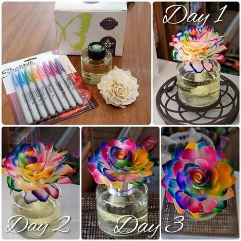 Scentsy Flower, Scentsy Unplugged, Scentsy Graphics, Scentsy Fragrance Flower, Scentsy Banner, Scentsy Posts, Scentsy Pictures, Scentsy Games, Scentsy Facebook Party