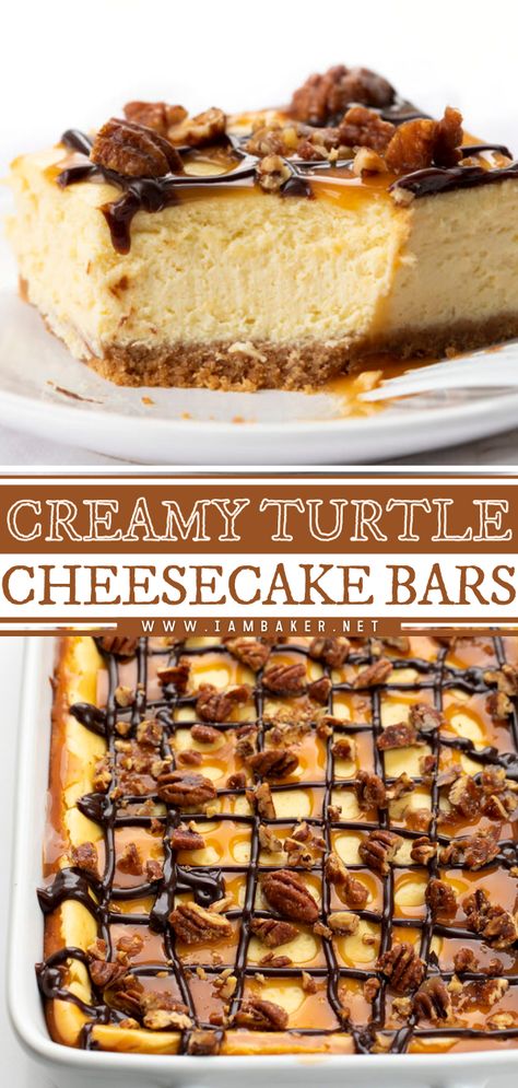 Easy Turtle Cheesecake Recipes No Bake, Turtle Topping For Cheesecake, Turtle Cheesecake Bars Recipe, Cheesecake Bars Chocolate, Turtle Cheesecake Bites, Mini Turtle Cheesecake Recipe, Turtle Pecan Cheesecake, Candy Bar Cheesecake Recipes, Cheesecake Bar Recipes Easy