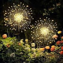 Yard Transformation, Dandelion Light, Secret Garden Ideas, Garden Archway, Solar Yard Lights, House Improvement, Modern Lights, Outdoor Fairy Lights, Library Bookshelves