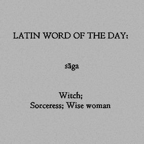 Veiling In Witchcraft, Witch Definition, Sorceress Aesthetic, Hellenic Polytheism, Pjo Characters, Lisa Minci, Marie Therese, Latin Quotes, Witch Quotes