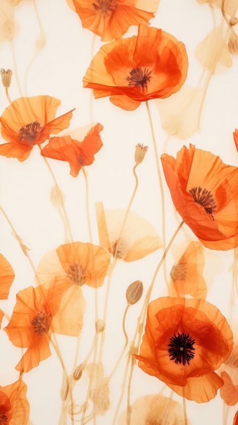 Poppy Screensaver, Poppy Phone Wallpaper, Poppy Flower Background, Poppy Aesthetic Wallpaper, Poppy Flower Aesthetic Wallpaper, Poppy Wallpaper Aesthetic, Poppy Wallpaper Iphone, Orange Aesthetic Wallpaper Iphone, Orange Color Aesthetic