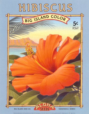 Hawaï Vintage Seed Packets, Hawaii Vintage, Flower Seeds Packets, Surf Poster, Seed Packaging, Creation Photo, Hawaiian Art, Summer Poster, Beach Posters