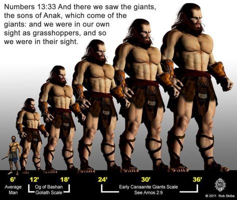 Giants In The Bible, Nephilim Giants, Giant People, Giant Skeleton, Genesis 6, Human Dna, Smithsonian Museum, Historia Universal, Bible History