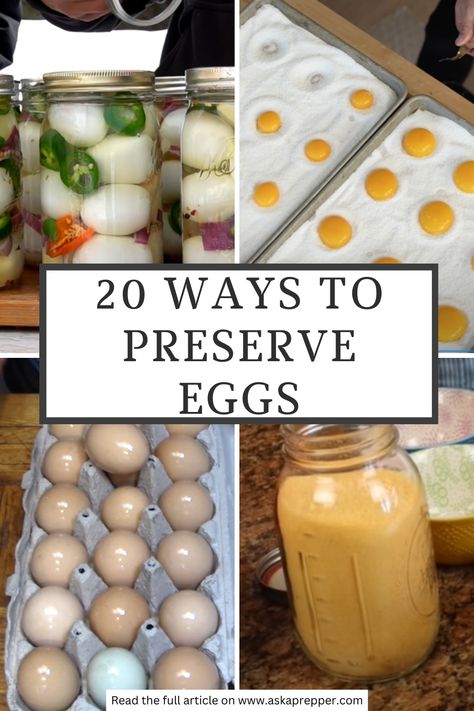 Eggs may not be the first on your list when it comes to survival stockpiles. But in a post-collapse world, you’ll need all the protein, vitamins, and minerals you can get. This is how you can safely preserve eggs to always have a boost of nutrients on hand: Preserve Eggs, Preppers Food Storage, Homestyle Meals, Preserving Eggs, Historical Food, Wild Mushroom Recipes, Homestead Animals, Prepper Food, Modern Homestead