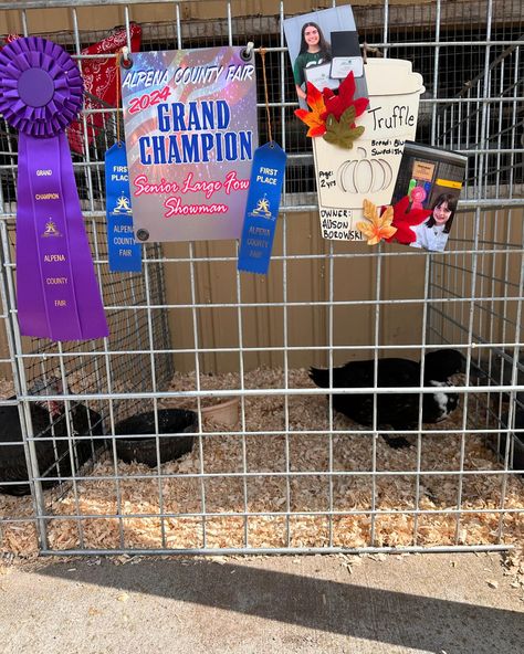 Alpena Fair ‘24🎡🪴 A couple weeks ago, I asked my 4-H leader, “what theme are we doing for the fair-like the animal barn decorations?” And she told me, “I am doing cowboy boots under the grandstand -but the theme is wide open. If I were you, I’d do 4-Her of the year -you’ve earned that title -be proud and loud!” I asked my mom what she meant…and I went with it. The pictures you may have seen in my pen decorations are meant to show my past of experiences, achievements, challenges, and those... Barn Decor, My Past, County Fair, My Mom, 4 H, Cowboy Boots, The Year, Meant To Be, Cowboy