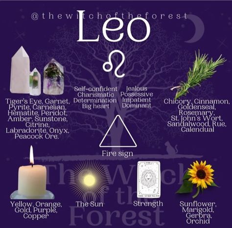 Moon Aquarius, Friends Building, Fire Witch, All About Leo, Leo Zodiac Sign, Astrology Leo, Birth Chart Astrology, Leo Season, Learn Astrology