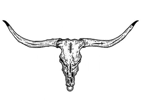 Longhorn Skull by sarahawillis | Redbubble American Traditional Longhorn Tattoo, Longhorn Tattoo Stencil, Longhorn Tattoo For Men, Small Longhorn Skull Tattoo, Longhorn Illustration, Texas Longhorn Tattoo, Men’s Longhorn Tattoo, Deer Sketches, Longhorn Skull Drawing