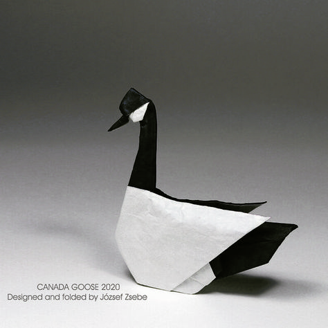 Canada Goose, designed and folded by József Zsebe (source: ) #origami #goose Origami Goose, Origami Birds, Origami Bird, Paper Birds, Origami Crafts, Bird Design, Canada Goose, Find It, Origami