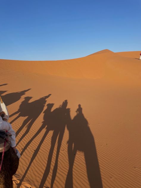 Sahara Desert, Morocco, Marakesh, travel, ideas, pics, camels Moroccan Desert Aesthetic, Sahara Desert Morocco, Sahara Desert Aesthetic, Sahara Aesthetic, Kings Aesthetic, Arabian Desert Aesthetic, Marrakesh Aesthetic, Morroco Aesthetic, Travel Manifestation