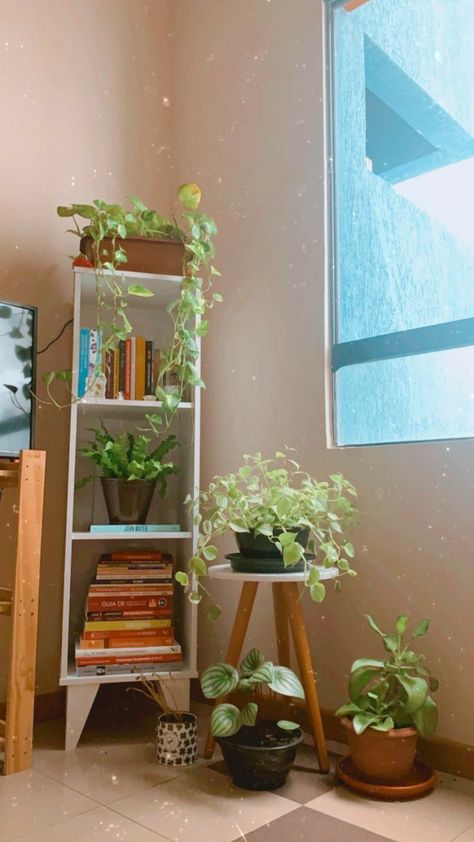 Plant Corner Bedroom, Room Decor With Plants, Boho Plant Decor, Boho Plants, Living Room Wall Decor Ideas, Home Decor Apartment, Room Wall Decor Ideas, Casa Vintage, Dekorasi Kamar Tidur