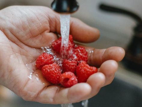 The Best Way to Wash Berries Wash Berries, How To Wash Strawberries, Fruit And Vegetable Wash, Types Of Berries, Banana Walnut Bread, Raspberry Fruit, Wild Blueberries, Fresh Berries, Taste Of Home