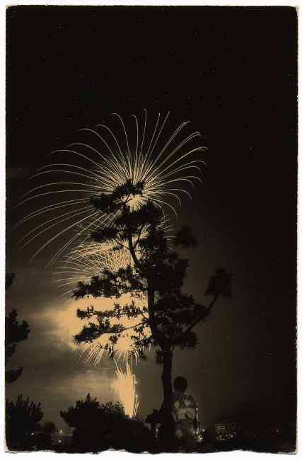 masao yamamoto Masao Yamamoto, Aichi, Contemporary Photographers, Japanese Artists, Artistic Photography, Bw Photo, Black And White Photography, A Tree, Fine Art Photography