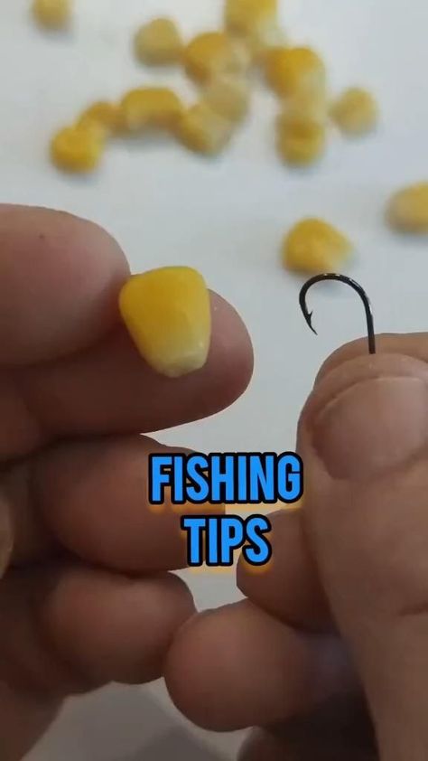 Easy Fishing Knots, Fishing Knots Tutorials, Fishing Line Knots, Fishing Hook Knots, Carp Fishing Rigs, Fishing Basics, Trout Fishing Tips, Bass Fishing Tips, Fishing Diy