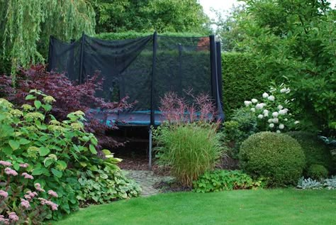 Garden Trampoline, Trampolines, Backyard Trampoline, Garden Landscape Design, Have Inspiration, Dream Backyard, Backyard Inspiration, The Grove, Backyard Playground