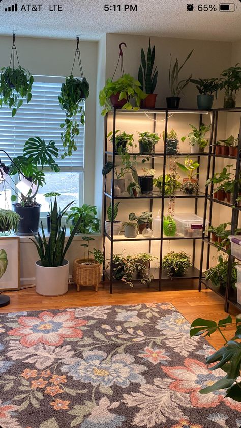 Apartment Balcony Greenhouse, Glass Shelves With Plants, Plants On Clothing Rack, Indoor Plant Lighting Ideas Living Room, Diy Plant Storage, Plant Grow Room, Indoor Houseplant Display, House Plant Set Up, Plant Area Indoor