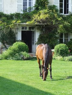 Ireland Farm, Stable Inspiration, Sharon Santoni, My French Country Home, French Country Home, Dream Aesthetic, English Manor, Equestrian Lifestyle, Majestic Horse