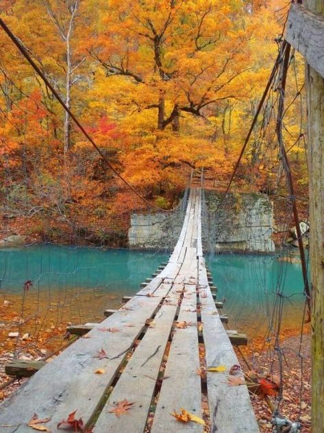 swinging bridge mulberry river ozark arkansas Arkansas Travel, Suspension Bridge, Road Trip Fun, To Infinity And Beyond, Scenic Drive, North Dakota, Nature Landscape, Oh The Places Youll Go, Fall Foliage