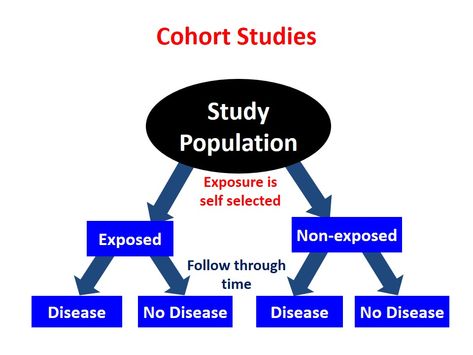 Study Designs, Group Of Soldiers, Evidence Based Medicine, Cohort Study, Military Units, Study Design, Basic Design, Grad School, Nurse Practitioner