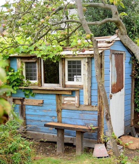 allotment-sheds Allotment Shed, Tiny Cottages, Allotment Ideas, Shed Tiny House, Tiny House Blog, Shed Interior, Summer Houses, Allotment Gardening, Backyard Buildings