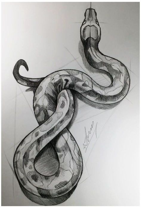 Png Tattoo, Sign Tattoo, Knife Tattoo, Snake Drawing, Female Tattoos, Men Tattoos, Animal Drawings Sketches, Snake Art, Virgo Sign