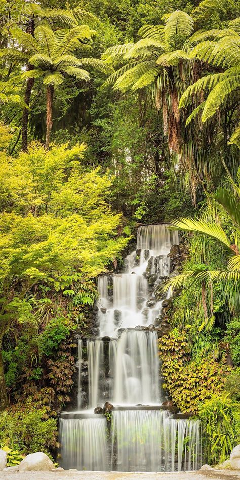 New Zealand North Island Oceania, Australasia New Plymouth Pukekura Park, Botanical Garden, Taranaki #travelaesthetic #travellifestyle #travelphotography New Zealand North Island Aesthetic, New Zealand Christchurch, New Zealand Travel Aesthetic, Pukekura Park, New Zealand Aesthetic, New Zealand North Island, New Zealand Nature, Nz South Island, North Island New Zealand