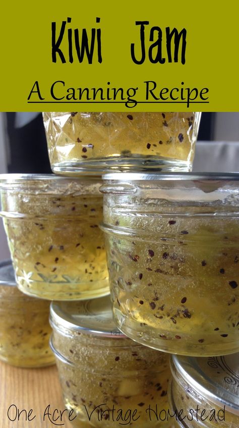 Kiwi Jam ⋆ Vintage Mountain Homestead Jelly With Jello, Kiwi Jam, Jelly Making, Canning Jam Recipes, Farm Harvest, Food Canning, Preserving Recipes, Easy Canning, Firework Nails