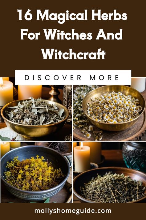 Magical Properties Of Orange Peel, Dream Herbs Witchcraft, Herbs For Protection Witchcraft, Justice Magick, List Of Herbs For Witchcraft, Witch Herbs And Their Uses, Herbs And Their Uses Witchcraft, Herbs For Witches, Herbal Correspondences