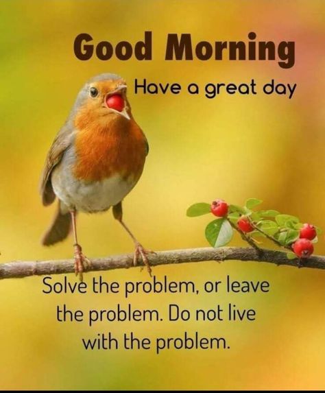 New Latest Good Morning Images, Good Morning Nature Quotes, Good Morning Quotes Friendship, Good Morning Animated Images, Latest Good Morning Images, Morning Wednesday, Sunday Wishes, Good Morning Wishes Gif, Good Morning Motivation