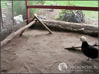 We have always used sand in our runs because our coops are located at the bottom of a hill, adjacent to wetlands and sand drains brilliantly. Sand For Chicken Coop, Chicken Coop Litter, Chicken Coop Bedding, Cheap Chicken Coops, Mobile Chicken Coop, Chicken Poop, Portable Chicken Coop, Chicken Pen, Chicken Coop Run