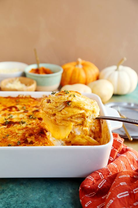 Creamy Pumpkin Scalloped Potatoes Thanksgiving Favorites, The Best Appetizers, Parmesan Potatoes, Delicious Thanksgiving, Just Bake, Scalloped Potatoes, Creamy Cheese, Sliced Potatoes, Thanksgiving Side Dishes