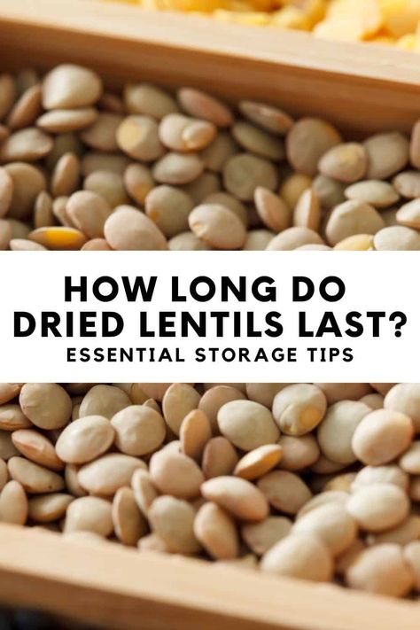 Dried Lentils, Storage Tips, How To Store, Shelf Life, Lentils, Sprouts, Food Storage, Favorite Recipes