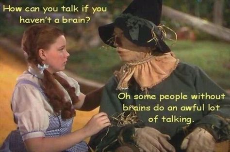 If u only had a brain! Wizard Of Oz Quotes, Jesse Ventura, E Card, Wizard Of Oz, Scarecrow, Bones Funny, Movie Quotes, Some People, True Stories