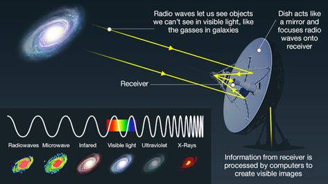 Many strong sources of radio waves are invisible in normal light, so looking at radio waves reveals a completely different picture of our universe. Even objects like the Sun and planets can reveal new features when viewed with radio telescopes, like Jodrell Bank. Radio waves are also better at travelling long distances than shorter wavelengths, so we can get clearer signals from very distant objects in radio than we can in normal light. www.bbc.co.uk/science/0/20937803 Astronomy Basics, Radio Telescope, Radio Astronomy, Astronomical Observatory, Radio Waves, Electromagnetic Spectrum, Space Tourism, Library Skills, Radio Wave