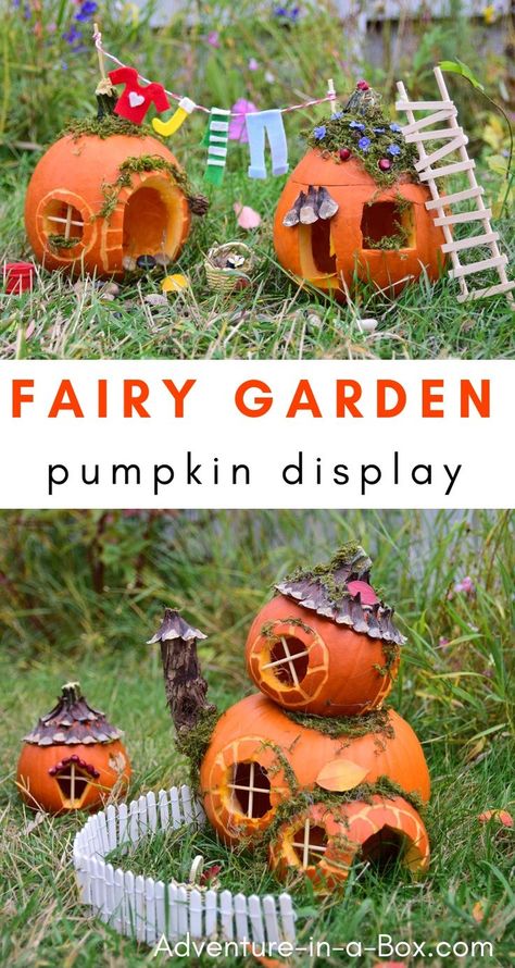 Build fairy houses from pumpkins and put together a pumpkin fairy garden for Halloween display this year! #fairyhouse #diy #halloween #pumpkindisplay #fairygarden #autumn Fall Diorama Ideas, Pumpkin Farming, Waldorf Halloween, Fairy Garden Pumpkin, Fairy Pumpkin, Pumpkin Fairy House, Pumpkin Fairy, Halloween Fairy Garden, Pumpkin Contest