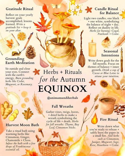 Samhain Ritual, Fall Essential Oils, Potions Recipes, Home Vibes, Charmed Book Of Shadows, Source Energy, Wiccan Magic, Autumnal Equinox, Witch Spirituality