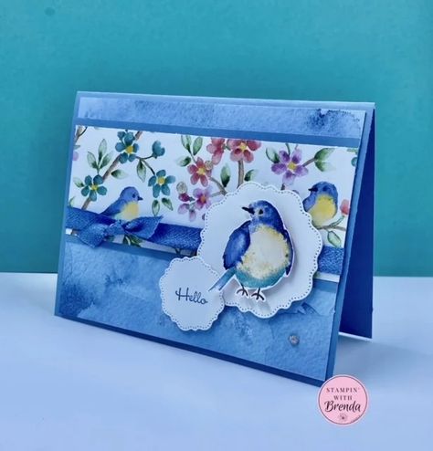 Designer Paper Cards, Bird Stamp, Hand Made Greeting Cards, Hello Cards, Birds And Flowers, Spring Cards, Bird Cards, Fancy Fold Cards, Stamping Up Cards