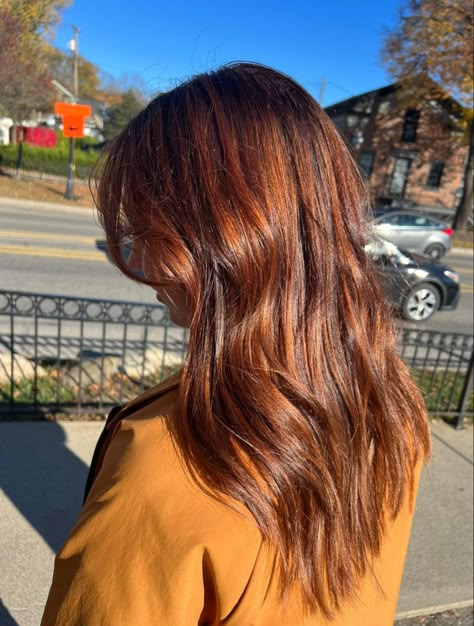 Dark Copper Hair With Dark Roots, Cooper Hair Dark Roots, Copper Gloss Brown Hair, Orange Tinted Brown Hair, Rust Colored Hair, Dark Copper Hair Color Brown, Auburn Hair Dark Roots, Copper On Dark Hair, Copper Hair Brown Roots