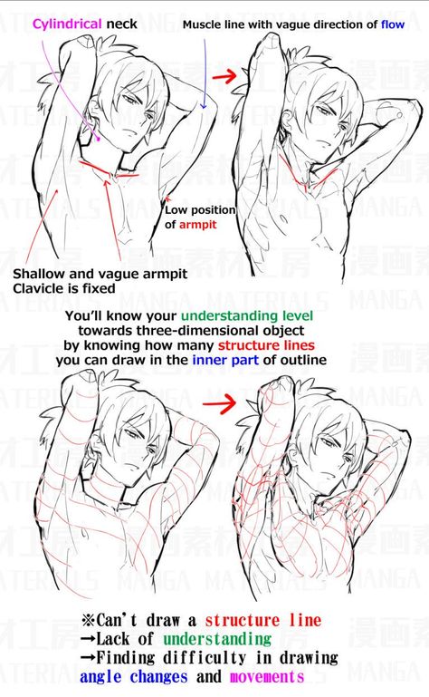 Manga Materials on Twitter: "How to draw armpit ④ The reasons why armpit are hard to draw.… " Anime Anatomy, Manga Tutorial, Drawing Body Poses, Anatomy Tutorial, Anatomy Sketches, Different Poses, Body Reference Drawing, Body Anatomy, Poses References