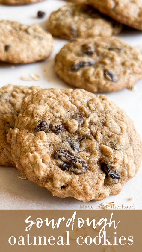 Sourdough Oatmeal Cookies Recipe, She Bakes Sourdough, Sourdough Discard Breakfast Cookies, Sourdough Discard Cinnamon Raisin Bread, Sourdough Discard Oatmeal Raisin Cookies, Sourdough Recipes Cookies, Oatmeal Sourdough Cookies, Sourdough Oatmeal Raisin Cookies, Sourdough Baked Oatmeal