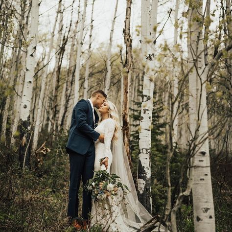 A n n i e  P a r r i s h on Instagram: “Aspen trees...I’m all about their vibes 👌🏼” Aspen Photo Shoot, Aspen Tree Wedding, Aspen Tree, Aspen Trees, Elopement Ideas, Wedding Vibes, Tree Wedding, Utah Wedding, Mexico Wedding