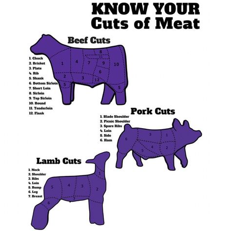 4h Livestock Judging, Meat Judging Ffa, Steer Showing Tips, Steer Names Show, Show Goats Boer, Livestock Quotes Pigs, Showing Pigs 4-h, Livestock Judging Tips, 4h Motto