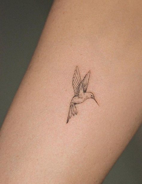 Small Delicate Hummingbird Tattoo, Stick And Poke Hummingbird Tattoo, Back Tattoo Hummingbird, Hummingbird Tattoo Danty, Hummingbird Tattoo With Sun, Dainty Moose Tattoo, Small Dainty Wrist Tattoos, Elegant Hummingbird Tattoo, Hummingbird Bird Tattoo