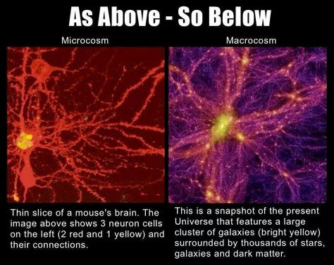 Pantheism Quantum Physics, Natural Phenomena, What’s Going On, Tumblr Funny, Tumblr Posts, Mind Blown, Consciousness, Astronomy, The Universe